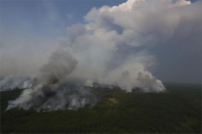 Информация о лесных пожарах в Российской Федерации на 4 октября 2021 года - новости экологии на ECOportal