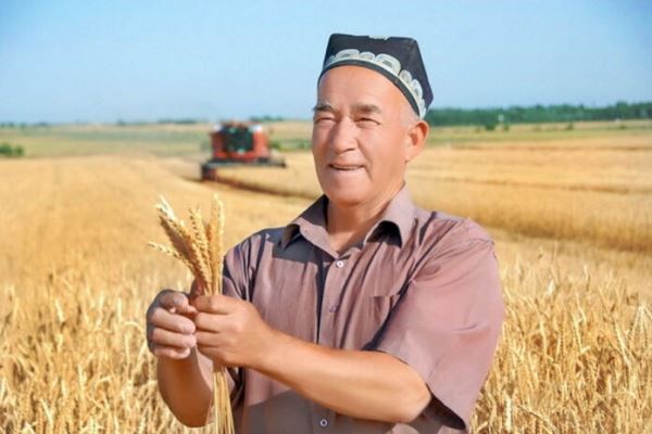 Минсельхоз объяснил предложение об аренде российских земель узбекскими аграриями