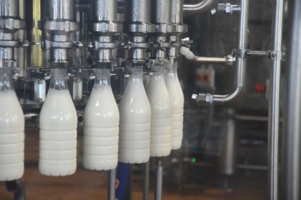 Накипело: производители молока жалуются на рост издержек