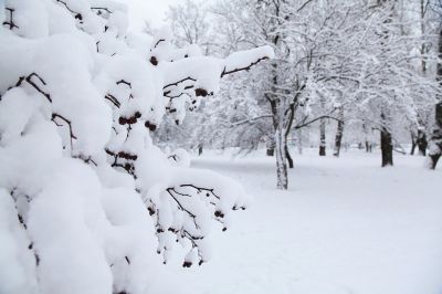 «Нормальной зимы не будет»: специалисты предупредили о погодных аномалиях / Видео - новости экологии на ECOportal