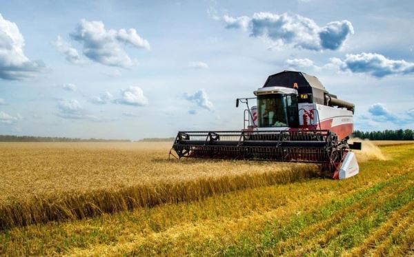 Учхоз «Июльское» в Воткинском районе ликвидируют до конца года