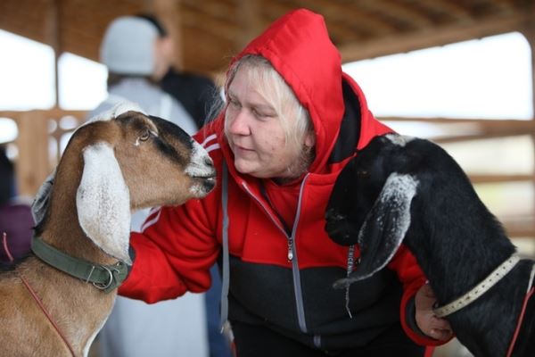 В Красноярском крае выбрали лучших коз и овец