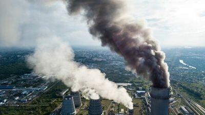 Минэкономразвития: Россия не будет добиваться углеродной нейтральности любой ценой - новости экологии на ECOportal