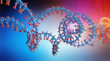 Новый процесс позволяет получить более чистую РНК
