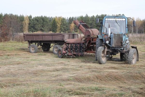 Общий сбор: нижегородские аграрии подсчитывают ущерб от потери урожая