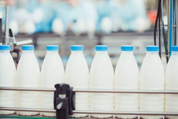 Россия может столкнуться с дефицитом молока